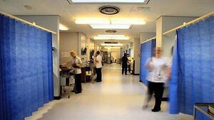 Nurses and midwives union urges ‘robust’ Garda response over racial attacks Nurses and midwives union urges ‘robust’ Garda response over racial attacks