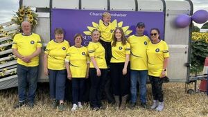 There's a great buzz at sunflower field in Maganey