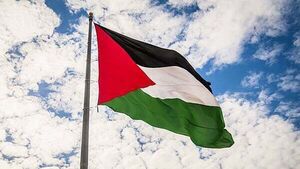 Woman (74) arrested in Belfast for wearing Palestine Action T-shirt released