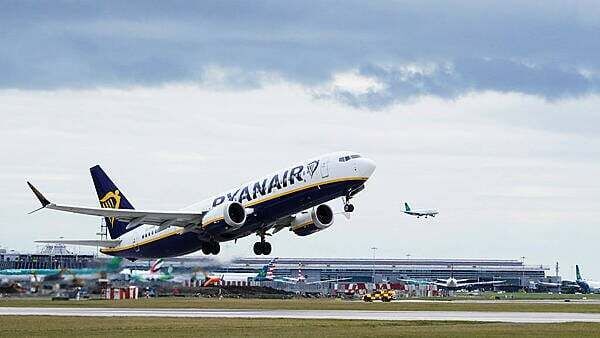 Dublin Airport flights suffer 278 bird strikes despite €600,000 spent on ‘scaring’ measures