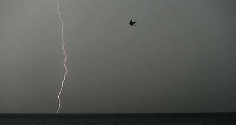 Met Éireann issues thunderstorm warning for three counties as temperatures rise