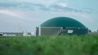 Site notice erected for proposed Kildare biogas plant 