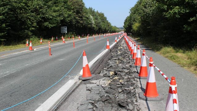 <p>Moone to Timolin cycle lane</p>