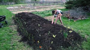 Living Greener: The German method to cutting down your rubbish waste