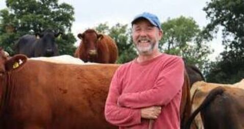 Kildare farmer gets permission to plant forestry on 18 acre site