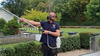 A day in the life of a Kildare pest controller 
