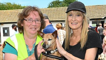 Kildare Animal Foundation hosts successful open day