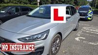 Kildare gardaí find driver's license is 17 years out of date