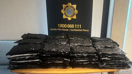 Around €1.1 million worth of drugs seized, two men (20s, 50s) arrested in Tallaght