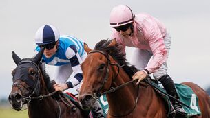 <p>Wayne Lordan (pink silks) and Composing comes will be looking to make it three wins in a row at the Curragh on Saturday Photo: ©INPHO/Tom Maher</p>