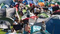 Electric Picnic Survival Guide