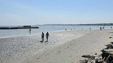 'Tremendous improvement': Irish beaches are at their cleanest in eight years