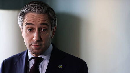 Fine Gael minister backs Harris amid resignation call