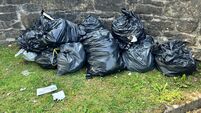 Call to bring back stocks to punish Kildare fly-tippers