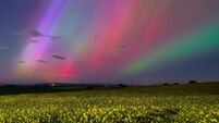 Kildare dentist wins space photography competition