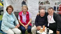 Big welcome at Kilcullen’s popular Picnic on the Green
