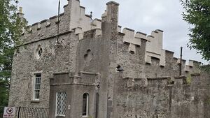 St David’s Castle secured for Naas public St David’s Castle secured for Naas public