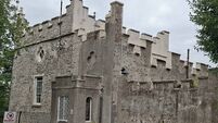 St David’s Castle secured for Naas public