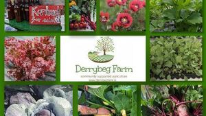 Kildare farm in running to be ‘Ireland’s Greenest Place’