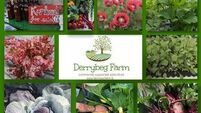 Kildare farm in running to be ‘Ireland’s Greenest Place’
