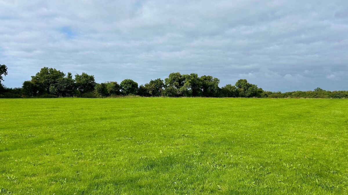 Over 60 acres of Kildare land to be auctioned in September