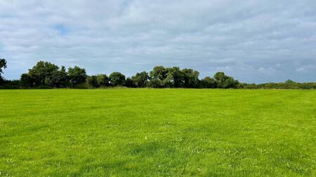 Over 60 acres of Kildare land to be auctioned in September
