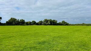 Over 60 acres of Kildare land to be auctioned in September Over 60 acres of Kildare land to be auctioned in September