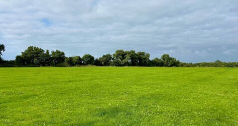 Over 60 acres of Kildare land to be auctioned in September