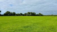 Over 60 acres of Kildare land to be auctioned in September