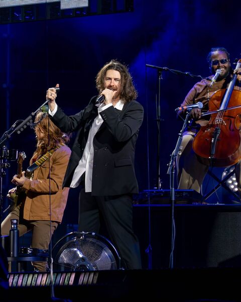 Hozier main stage Electric Picnic Friday night