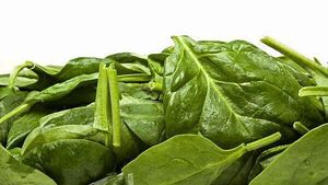 Spinach and mixed leaves products recalled over listeria fears Spinach and mixed leaves products recalled over listeria fears