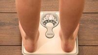 Discovery may lead to new drug treatments for Alzheimer’s and obesity