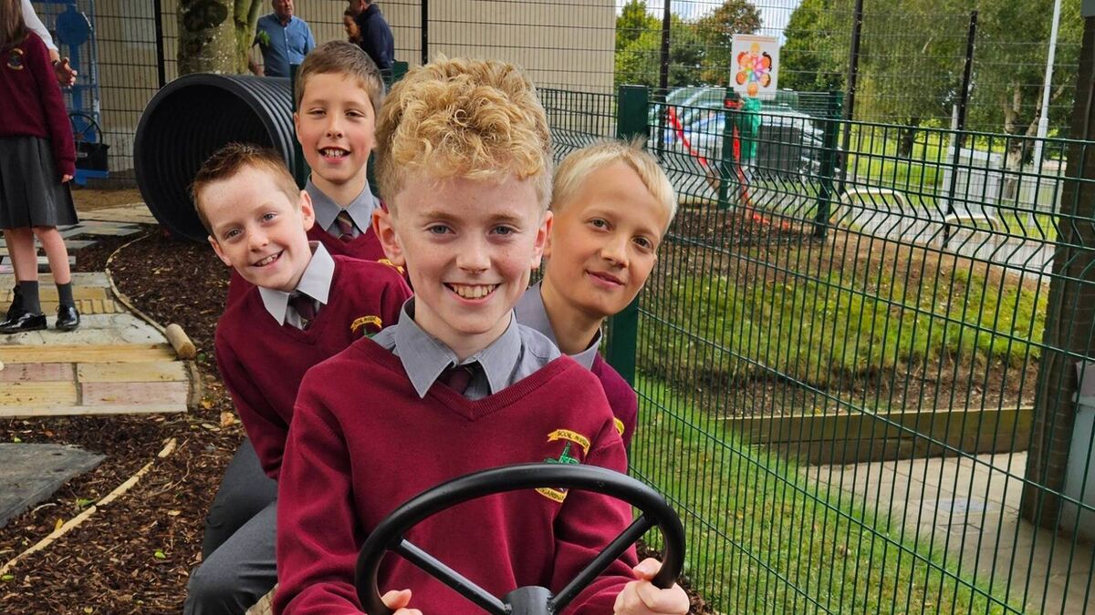 Newbridge company employees make sensory garden for school 