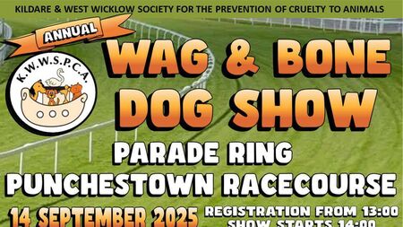 Kildare animal charity hold dog show at Punchestown this Sunday