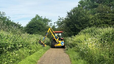 Kildare property owners reminded to maintain roadside trees & hedging 