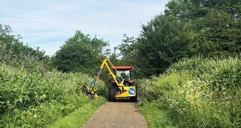 Kildare property owners reminded to maintain roadside trees & hedging 