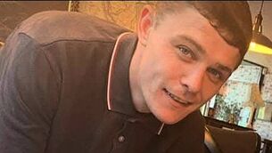 Police arrest burglary suspect who had climbed tree in Belfast