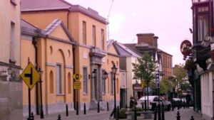 'Lunatic' driver parks cars at Kildare hotel, court hears 'Lunatic' driver parks cars at Kildare hotel, court hears