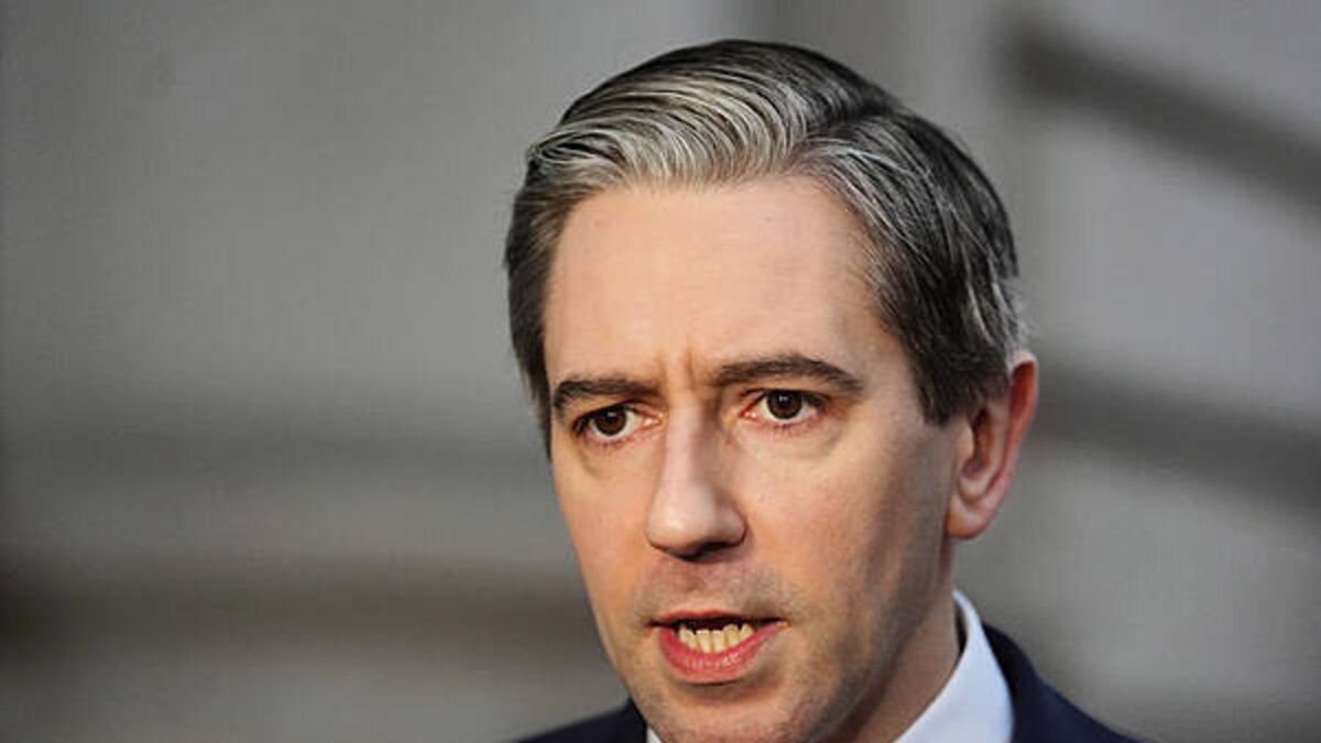 Simon Harris condemns second ‘vile’ threat against his family