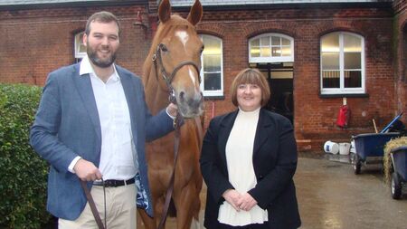 Kildare equine firm strikes deal with multinational insurers