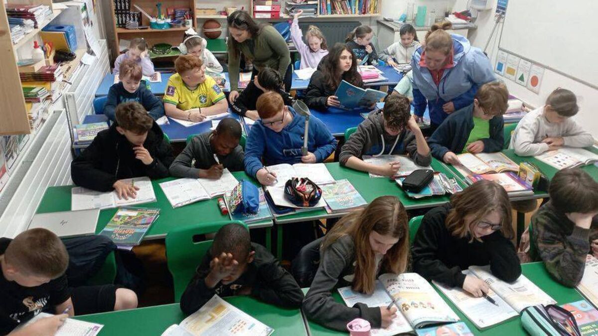 Kildare parents urged to complete primary school survey