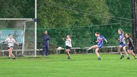Prizeman in top form as Naas reach Kildare LGFA IFC semi-finals
