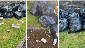 Vigilance catches illegal dumper