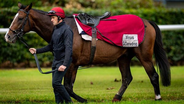 O'Brien's Illinois among those to face unbeaten raider Amiloc takes in Sunday’s Comer Group International Irish St Leger at the Curragh
