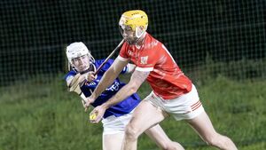“I felt every emotion in half an hour of hurling"