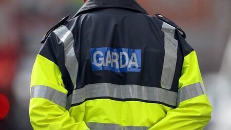 Naas van driver caught on N7 with phone in one hand and cigarette in the other