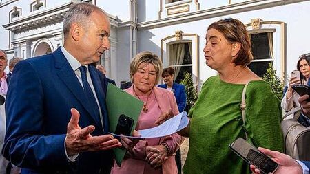 ‘This is your legacy’, Cork mother of disabled daughter tells Taoiseach