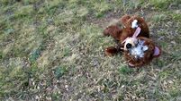 €200k teddy arson, couple sent for October trial