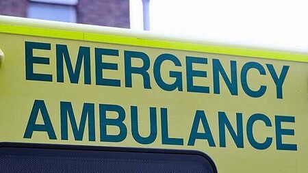 Three cows die after crash with ambulance and trucks in Co Donegal