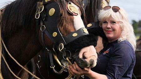 Presidential candidates among thousands at Ploughing Championships